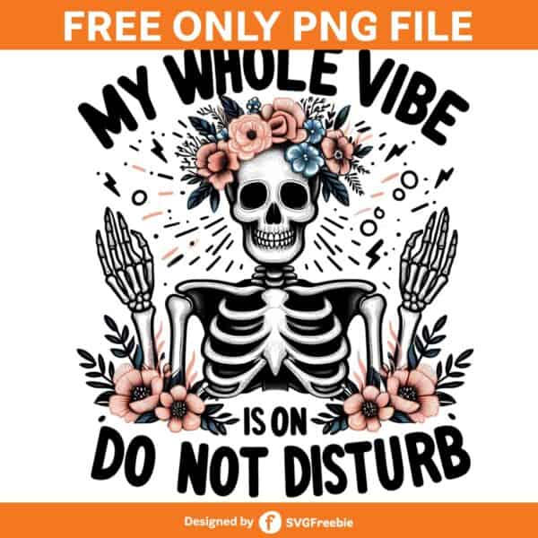 My Whole Vibe is on Do Not Disturb Png