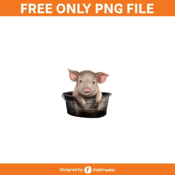 Pig Sublimation, Pig Clipart, Pig Png